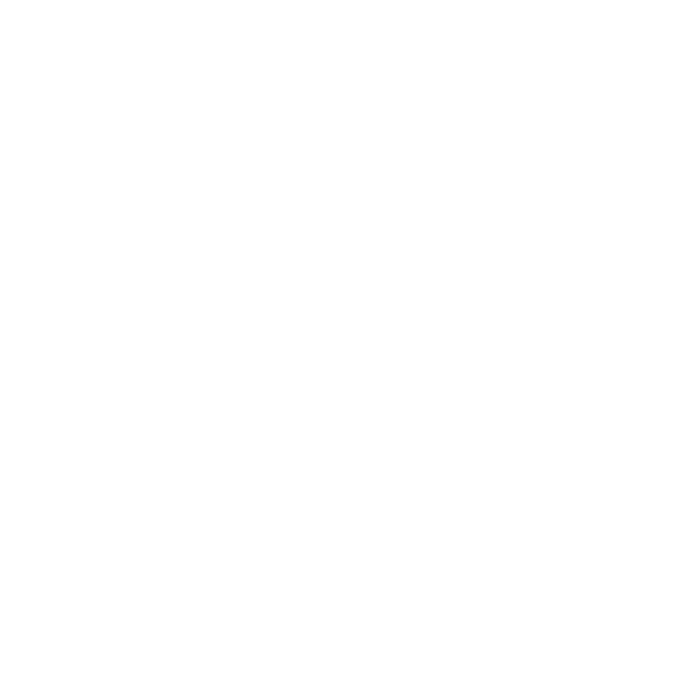Team Zealancy Z Logo